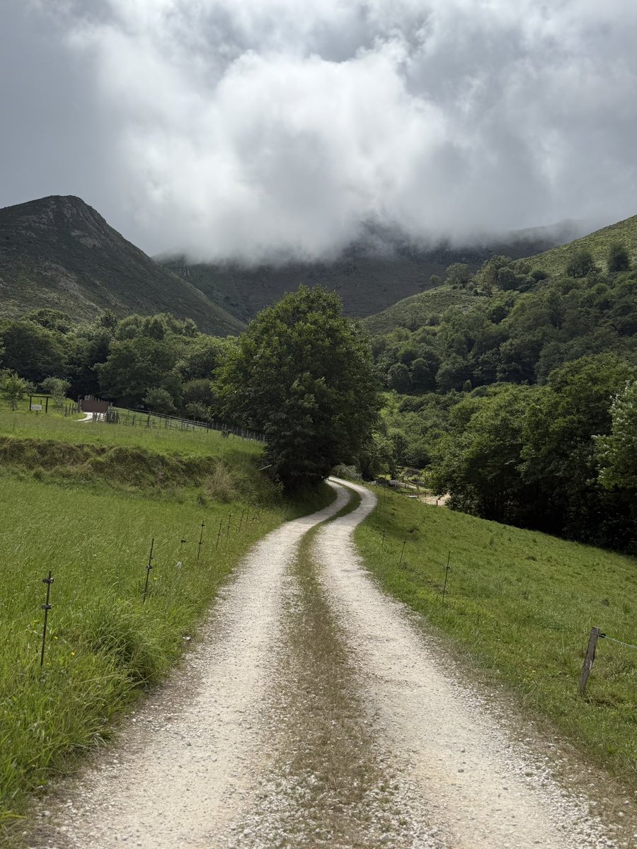 🤔 ¿Qué canción de Salduie estás escuchado más este verano? 

tinyurl.com/2hhye7e5