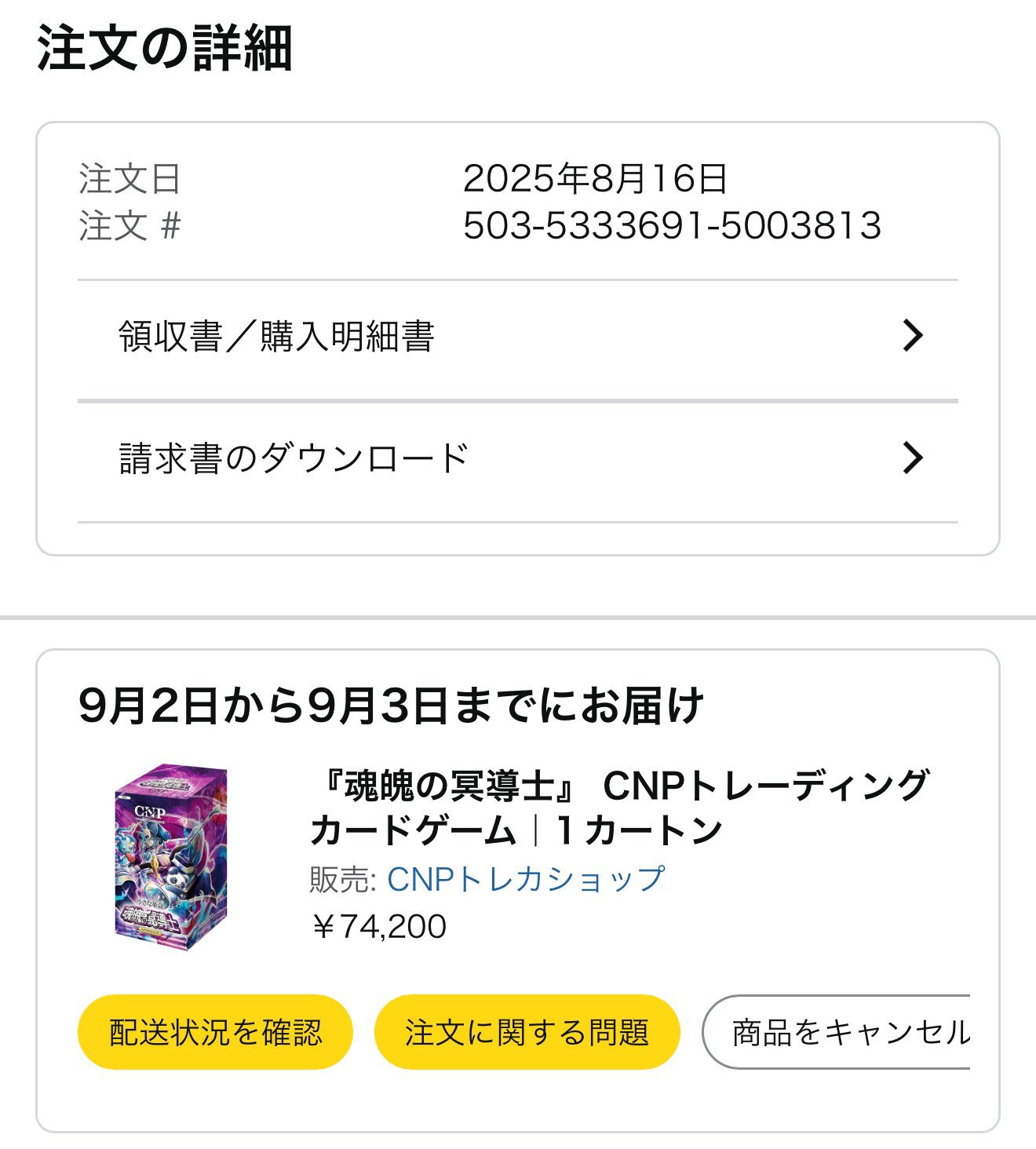 CNPトレカ　次元の来訪者　P-RR 激レア　真贋証明付 CNPトレカ 次元の来訪者 P-RR 真贋証明付 ハイメタモルの協力者