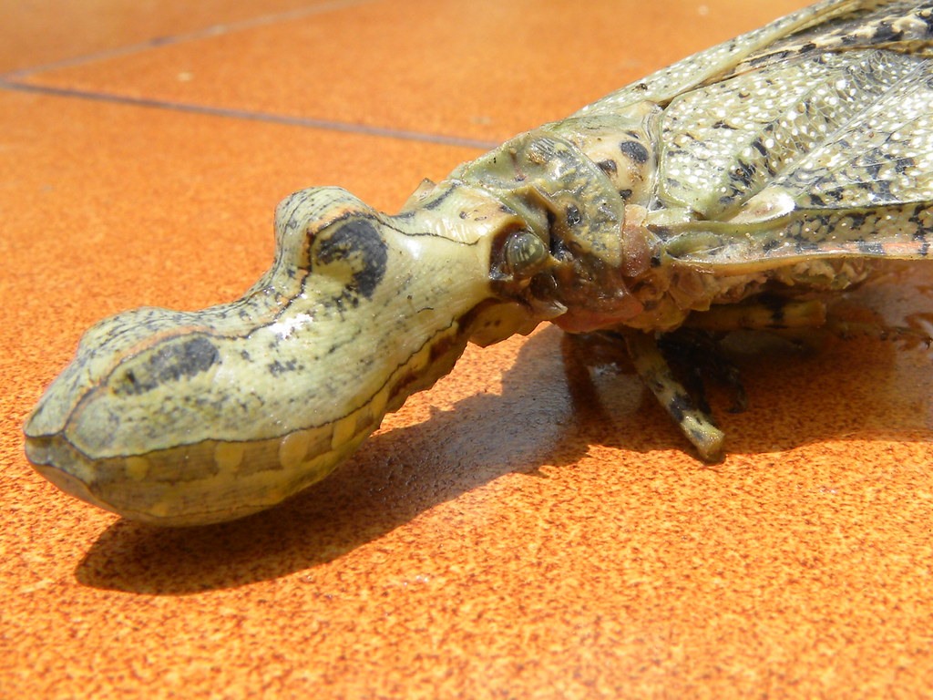 Big Bang Science tweet media