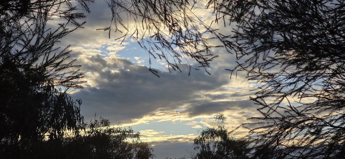 Scott (@havenlust) on Twitter photo 