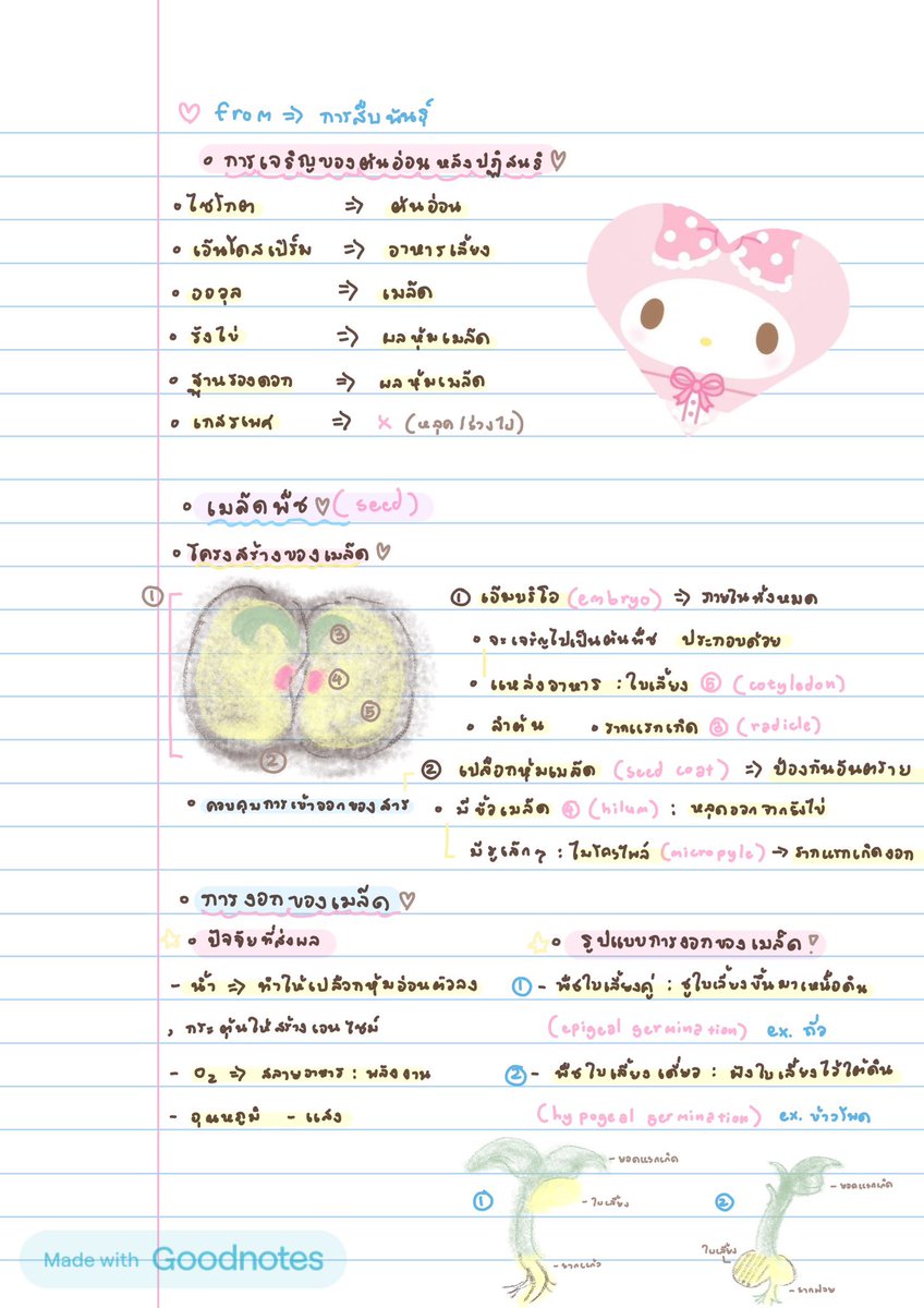 h3lloooiloveuu's tweet photo. เค้ารับจดสรุปเนื้อหาม. ต้นนะคะ 🩷👩🏻‍❤️‍💋‍👩🏼 เรทราคา 10฿-25฿ ตามความยาก + เยอะ รับทรูมันนี่สะดวกสุดคับ ทักถามได้เลย 🌟

ex. งาน ( ไม��รับฟิสิกส์ เคมีนะคะ ㅠ ㅡ ㅠ 🍀 )
@h3lloooiloveuu https://t.co/OFRacaD856