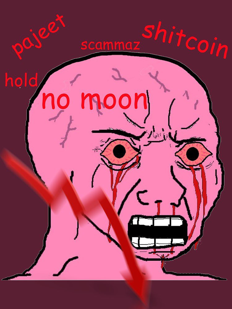 Wojak meme depicting crypto frustration with labels like pajeet, scammaz shitcoin, and no moon
