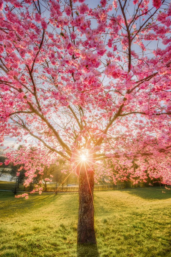 JeanetteEliz's tweet photo. Hello Everyone! 💛 Have a beautiful day  💞🌸💕 https://t.co/Yv6AY4voH1