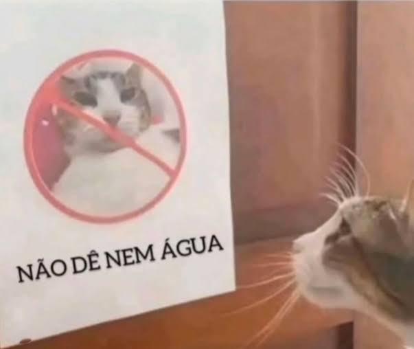 izidoro🚬 ☭ tweet media