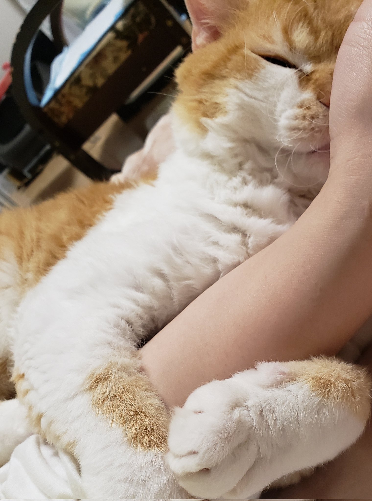 【うっちー♪】リクエスト品です☆ うっちー🍥 (@fujisan79) / X