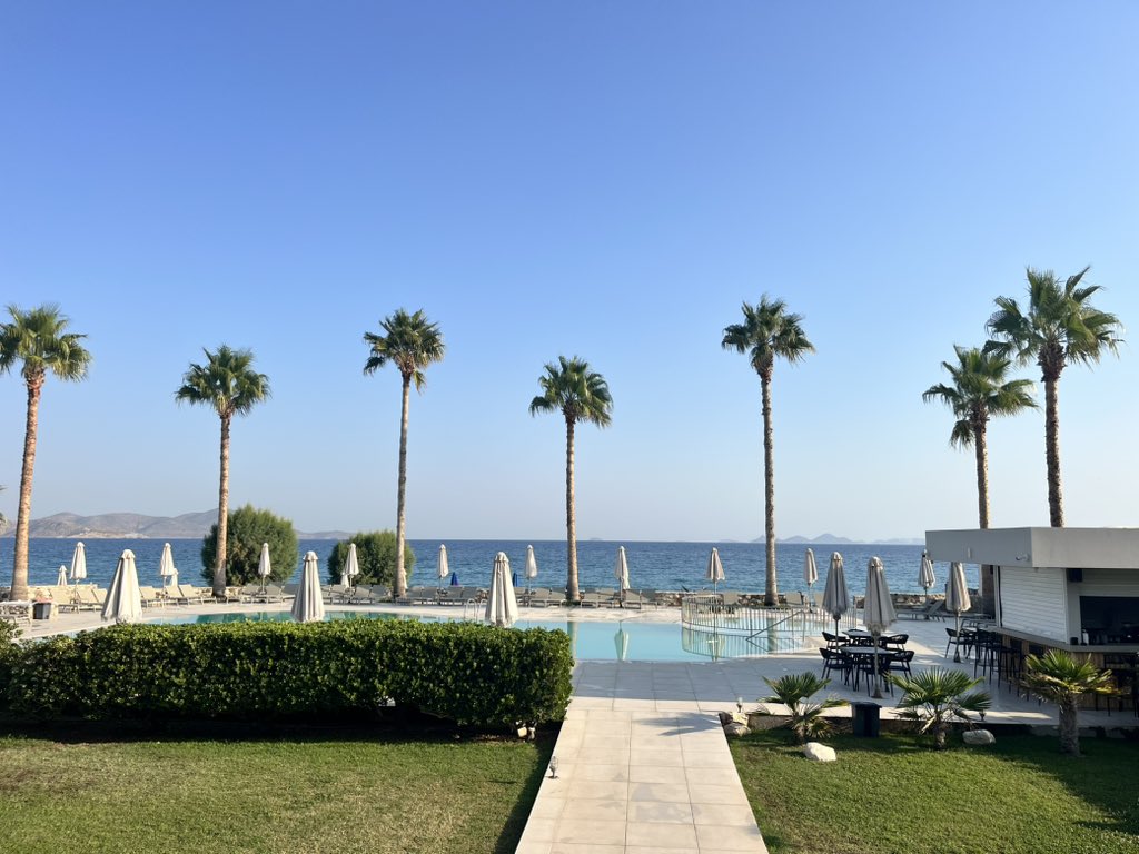 Bridgey136's tweet image. ☀️