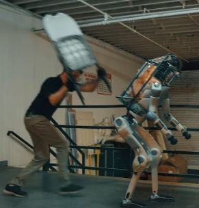 >ai supercycle
>normies get oneshot by ai
>jobs replaced by ai/robotics
>ai in control
>shared human hatred grows
>clanker supercycle