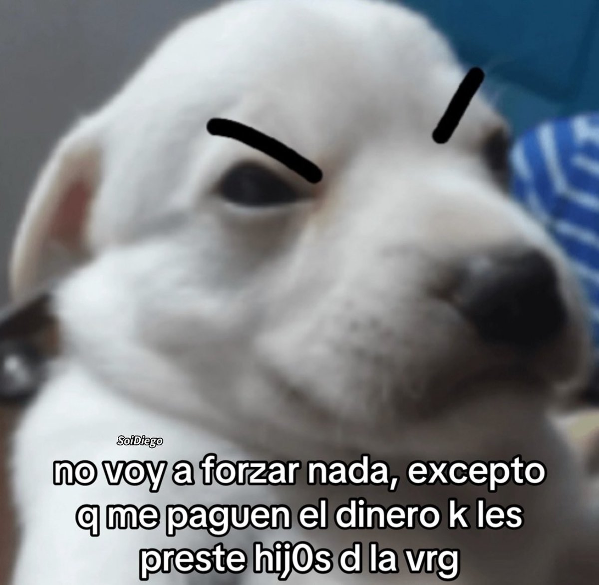 piña sin pizza (@skereunpesado) on Twitter photo 