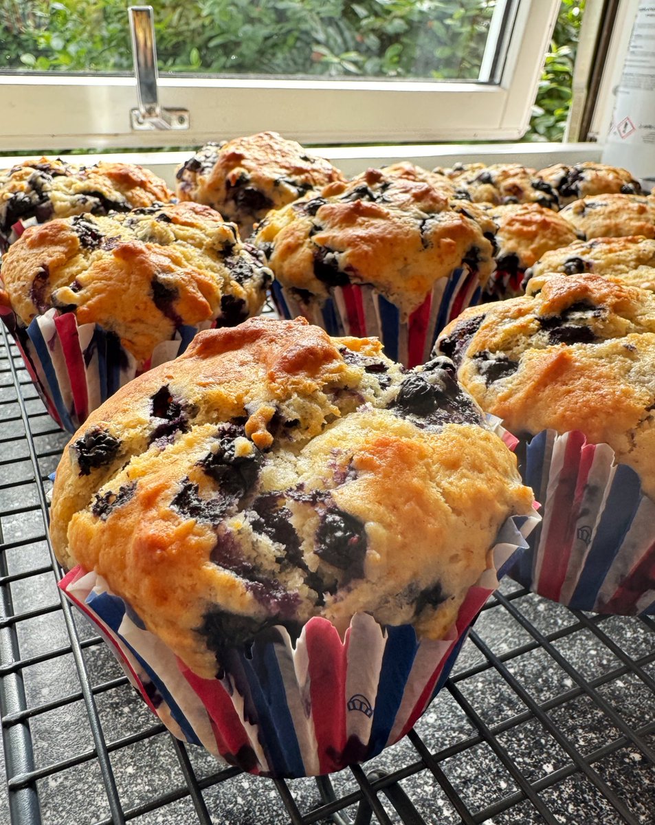 Ο μεγάλος γιος ζήτησε blueberry muffins με τα μύρτιλλα που μαζέψαμε από το δάσος- πάνω από 2 κιλά 🫢
Σήμερα λοιπόν τα έφτιαξα, επί τη ευκαιρία της έναρξης της σχολικής χρονιάς 📚🎒

Ιδού: μάφινς γιαουρτιού βανίλιας με μύρτιλλα του δάσους🫐

#MissBuntysfood
