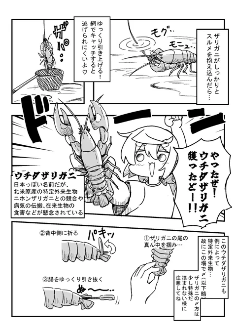 (4/6) 