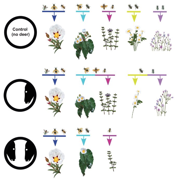 Benoît GILLES tweet media