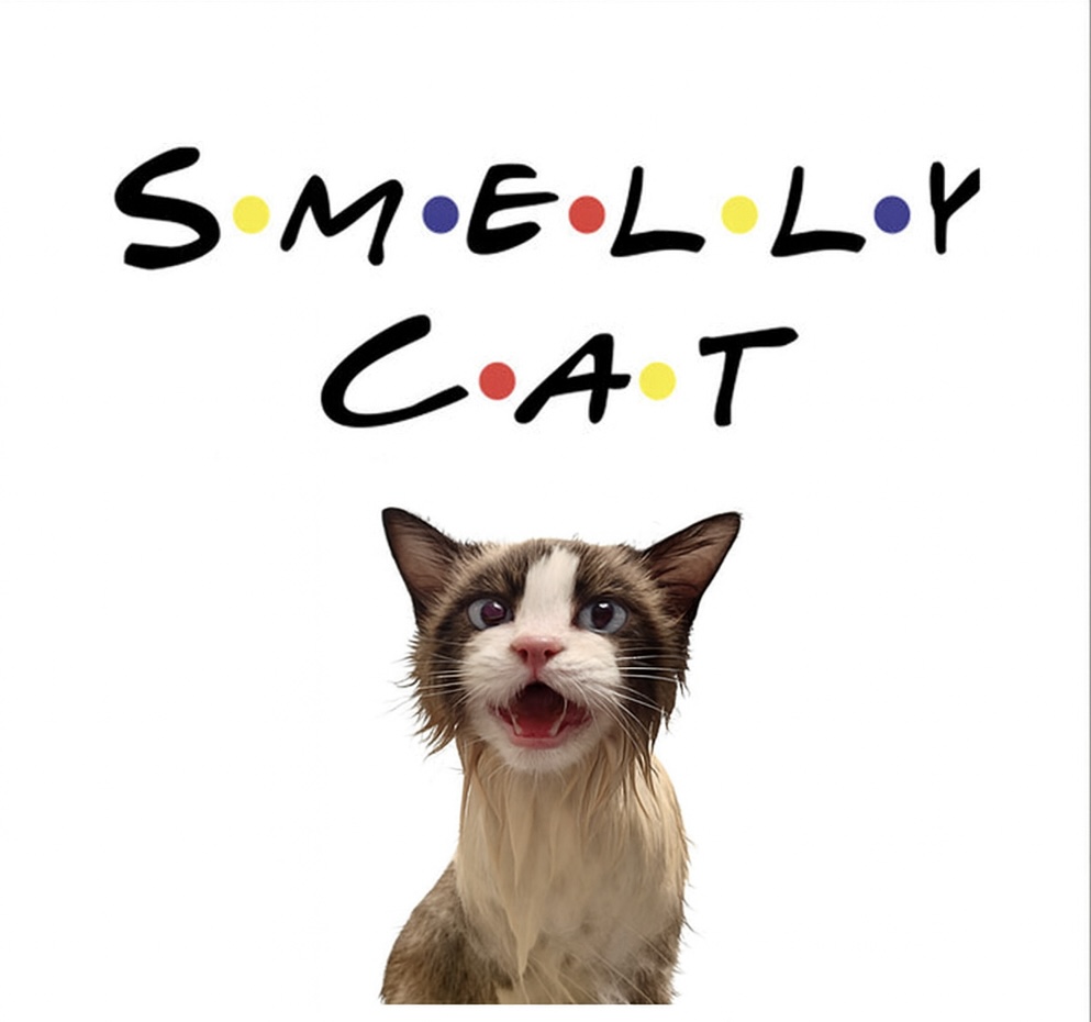 In the 90s, they laughed at the song In 2025, they’re crying they missed the bags. 
$SMELLY