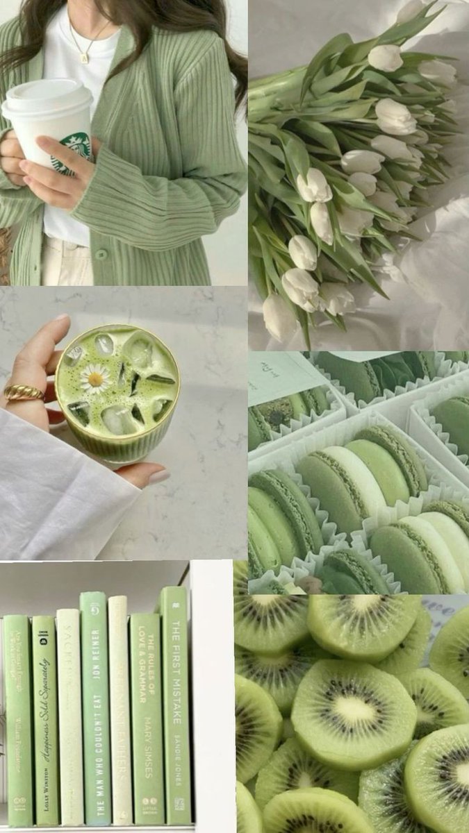 Only Tulips tweet media