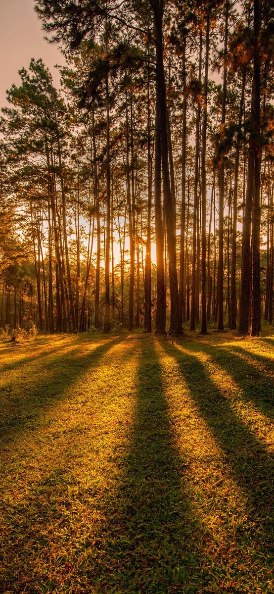 Rashid (@rashidal3mrii2) on Twitter photo 