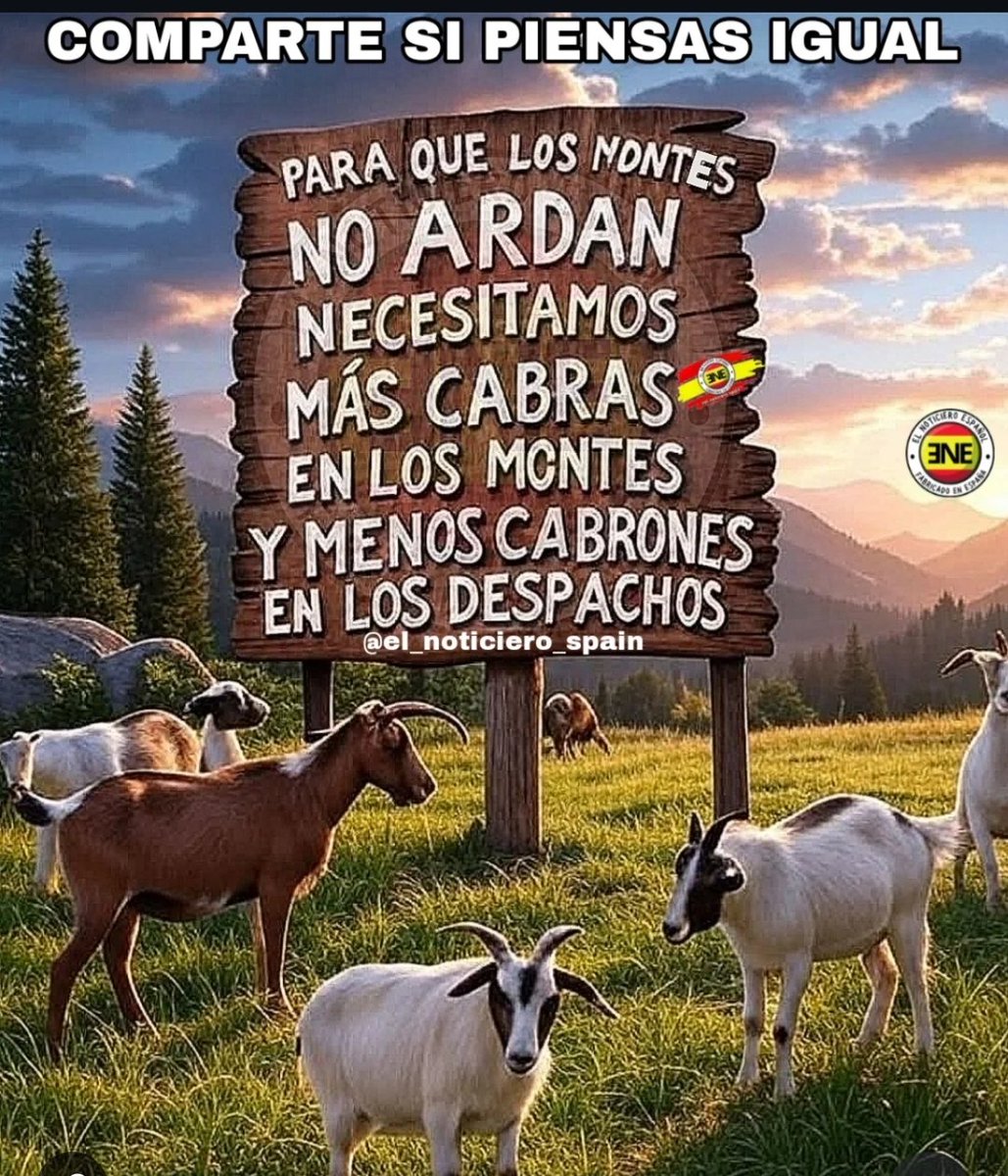 Rianxeira (@isabeltub) on Twitter photo 