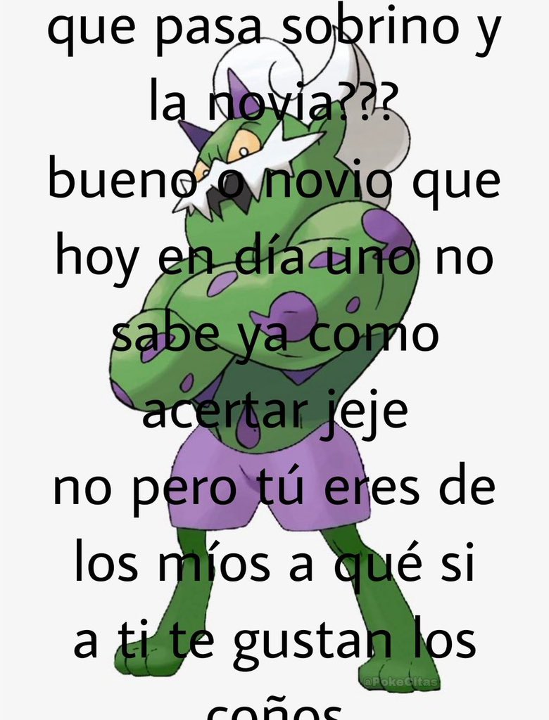 Memes Pokémon (@pokecitas) on Twitter photo 