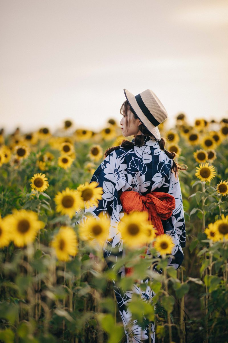 se17_color's tweet photo. あの花🌻 https://t.co/AbW7zBTpgu