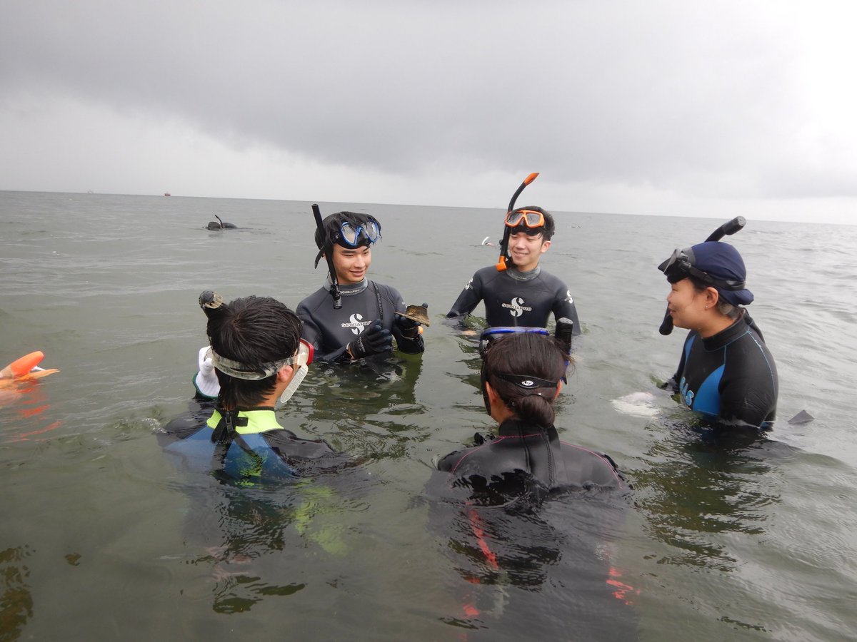 usp_kouko's tweet photo. 2025年8月10日〜12日に朝妻沖湖底遺跡の調査を行いました！

県大では毎年水中調査をさせていただいているのですが、今年は過去最多人数での調査となりました☺
時より豪雨に見舞われる空模様ではありましたが、無事に調査を終えることができました✨

8月下旬にはダイビング調査も予定しています。 https://t.co/baTqgiNIoV
