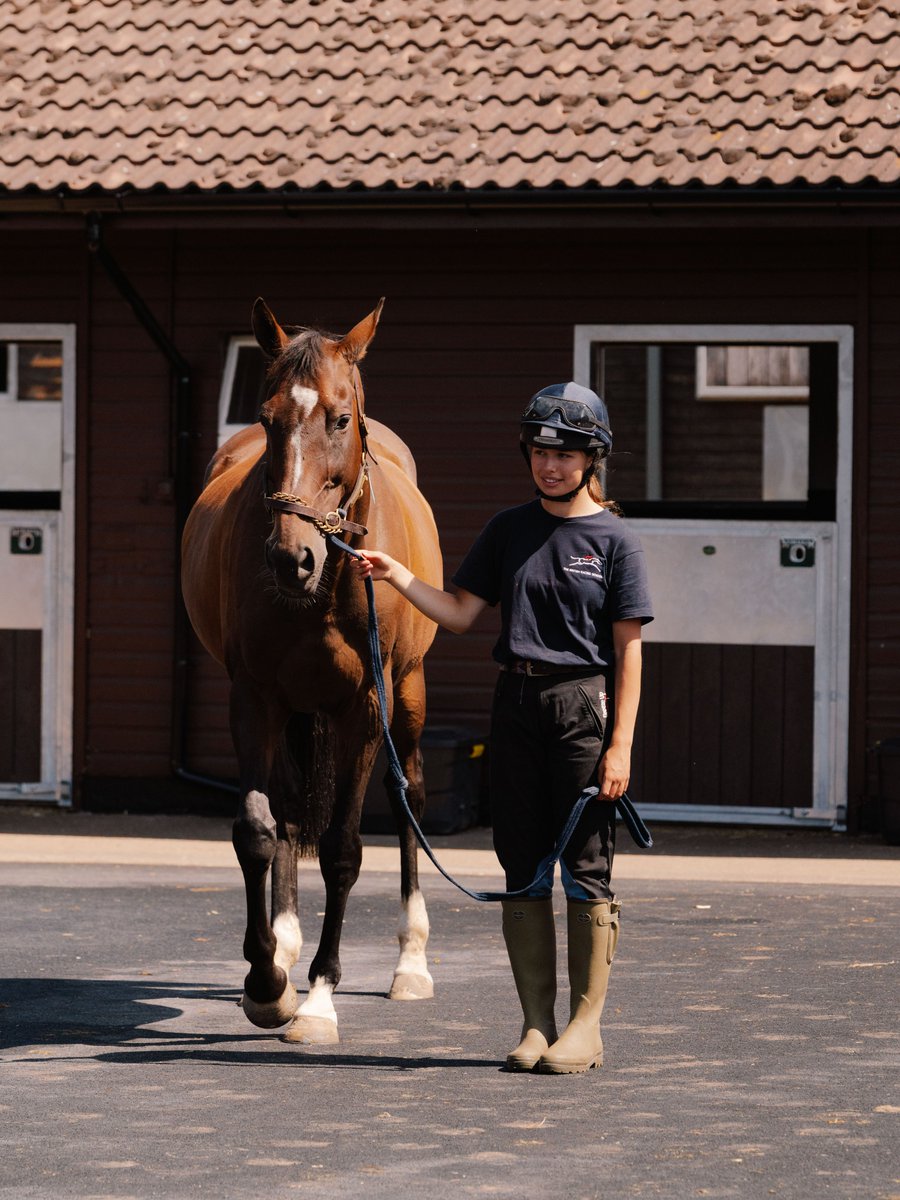 BRSNewmarket's tweet image. Here are 4 reasons to choose the BRS after #GCSEs🐴👇
1️⃣ Hands-on learning
2️⃣ Work with horses (no experience needed!)
3️⃣ Paid training once in the workplace
4️⃣ No tuition fees*
🎯 Apply now: bit.ly/4mIzCIB
 *Bed and board payable by student, bursaries available