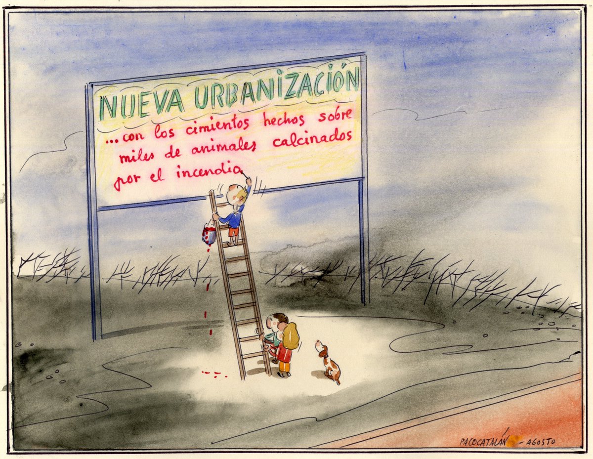 Mi viñeta.
Nuevo proyecto hecho sobre el miedo, el dolor, la desesperación de miles de seres inocentes. Es muy difícil perdonar estas cosas.