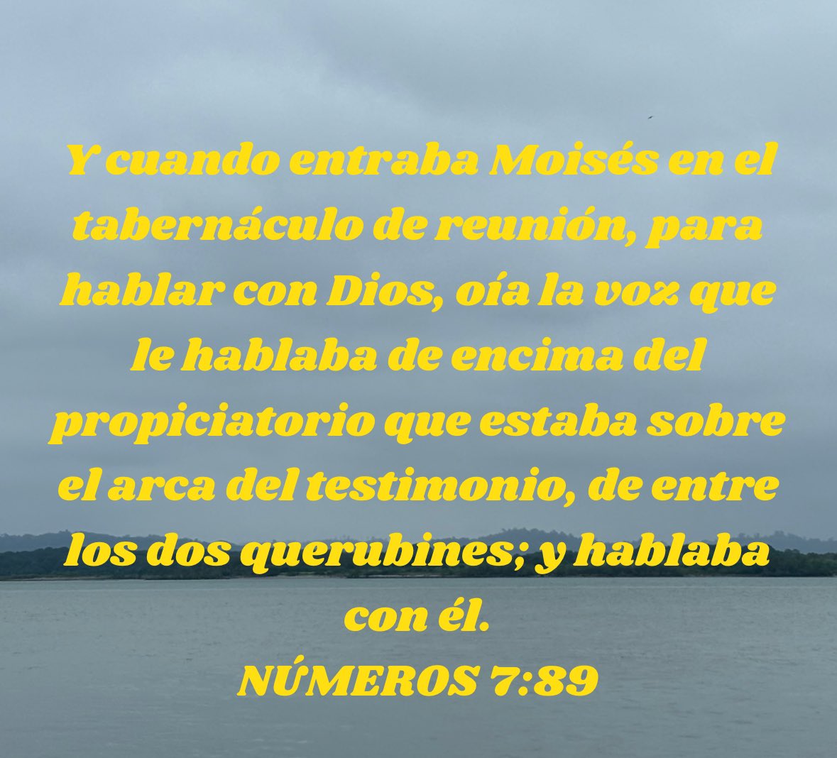 El propósito de nuestra adoración es desarrollar nuestra comunión con Cristo y conocer para practicar su voluntad #rpsp #PrimeroDios #Maranatha <a href="/Pr_Freddy/">Pr. Freddy Guerrero</a> <a href="/chrisgavilanes/">Christian Gavilanes</a>