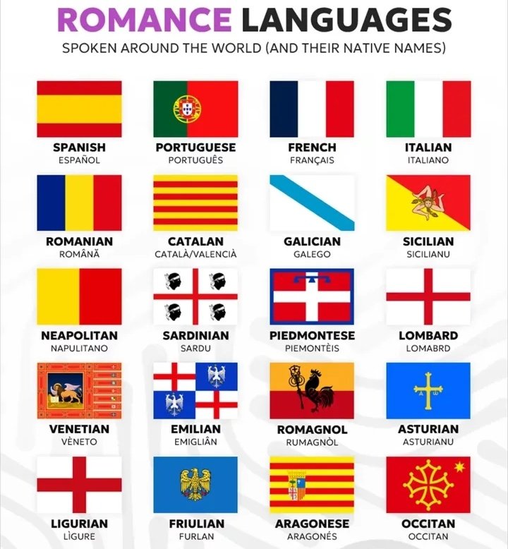 otaldoricoo's tweet photo. que fique claro que os idiomas de origem românica e latina vão muito além de português, espanhol, francês e italiano. https://t.co/xHPGEuwPC1