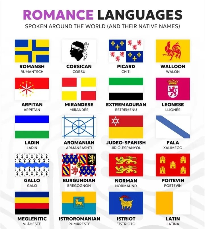 otaldoricoo's tweet photo. que fique claro que os idiomas de origem românica e latina vão muito além de português, espanhol, francês e italiano. https://t.co/xHPGEuwPC1