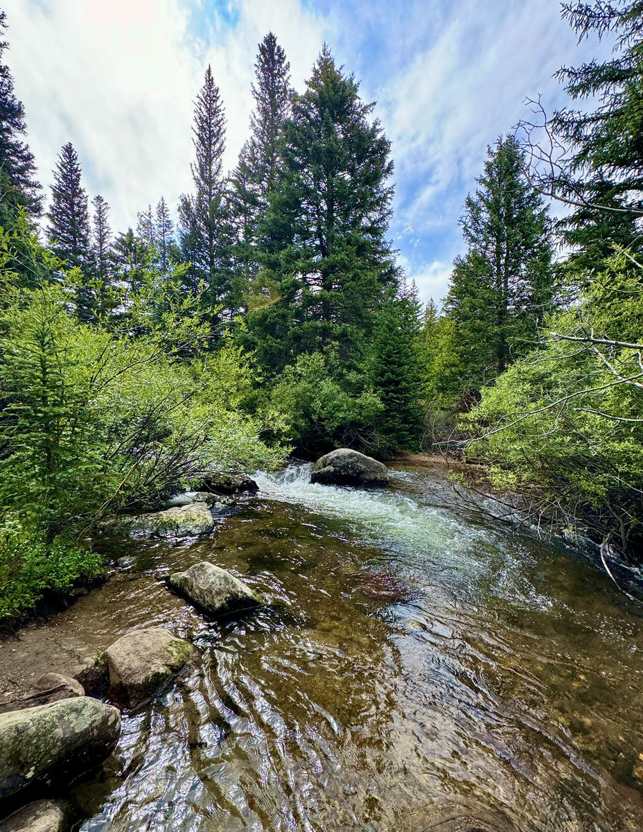 DMiller52325459's tweet image. Share your nature photos with us ❤️