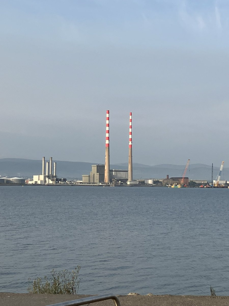 Rutholearywriter tweet media