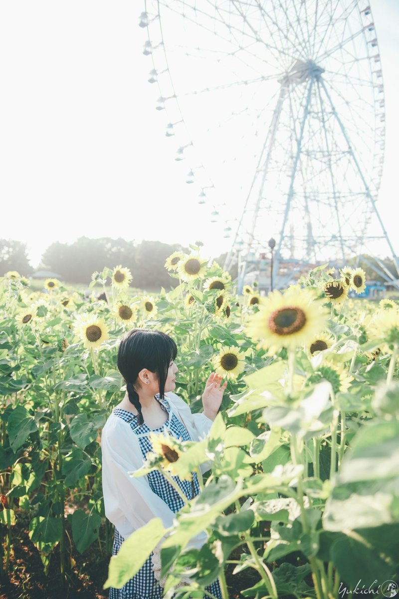 camera_photo_by's tweet photo. HIMAWARI🌻*.ﾟ

model 三角由依さん(@mikayui_0126)

#flowerportrait 
#portrait 
#ポートレート 
#ポートレート好きな人と繋がりたい 
#被写体募集 
#被写体さんと繋がりたい 
#カメラ女子 
#写真好きな人と繫がりたい 
#ゆきちの写真 https://t.co/mp3qqZkRFb