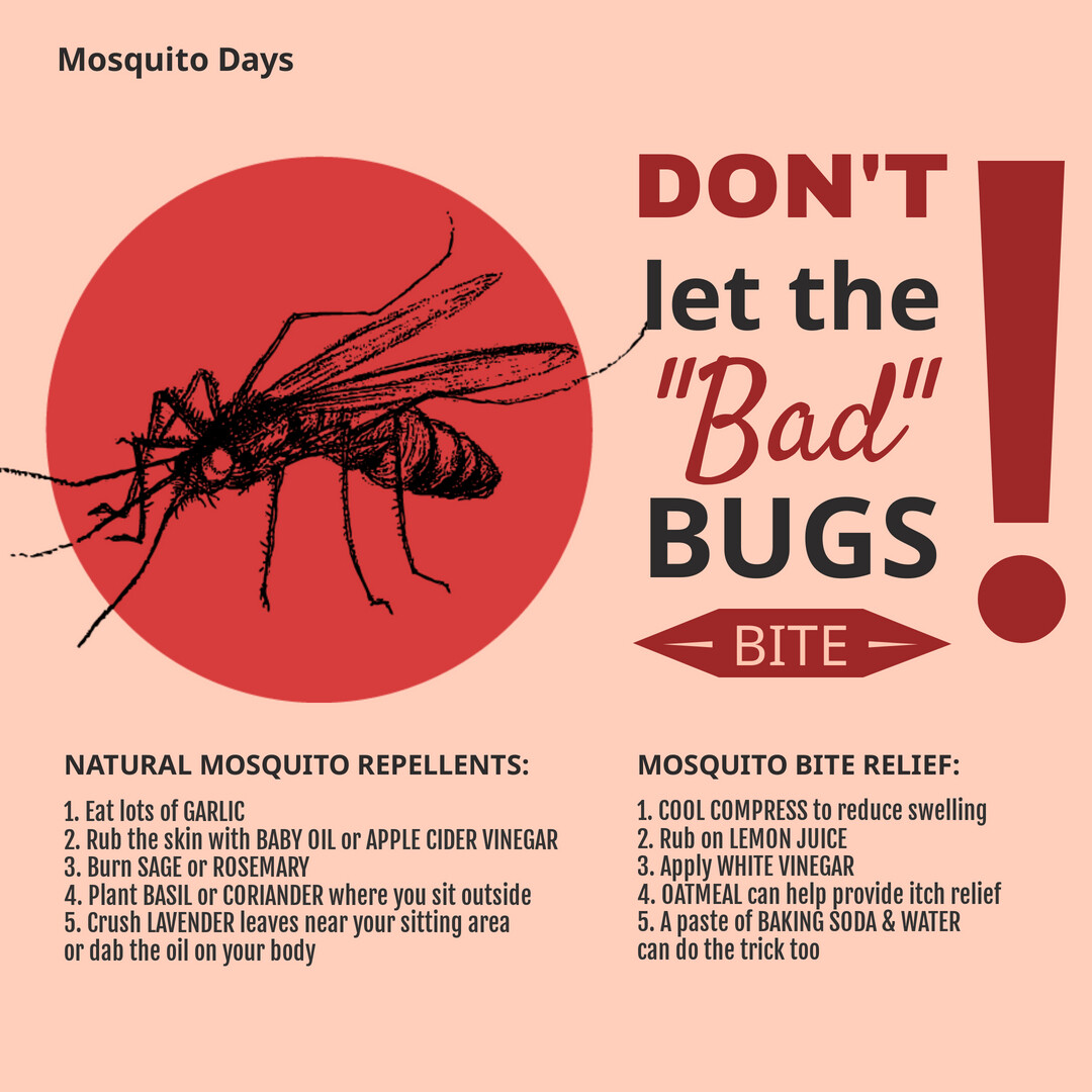 WellBeingMD's tweet image. With all the rain, mosquito&apos;s are biting away at a fever&apos;s pitch. Here are some helpful homemade remedies. #  Mosquitobite, #NaturalSolutions