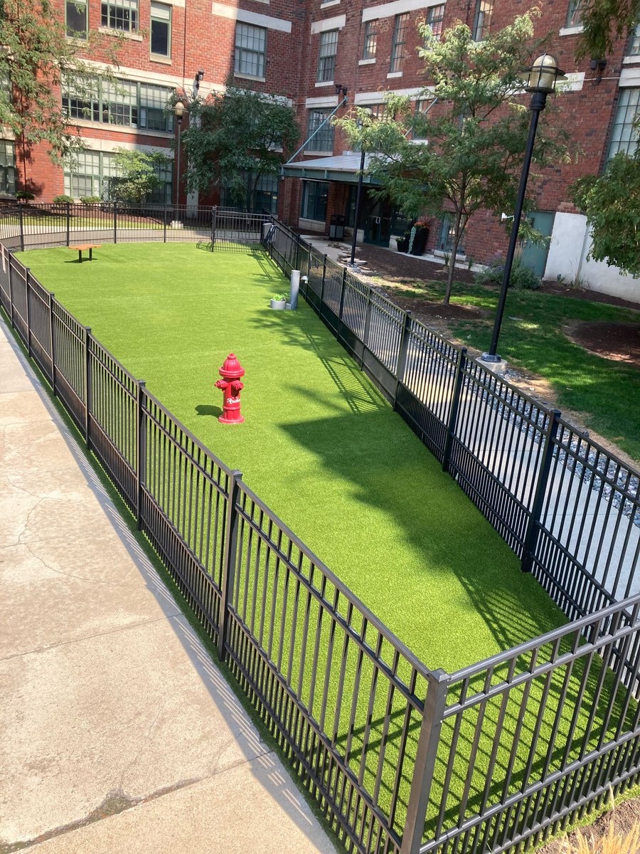 keeperssts's tweet photo. Looking for a dog-friendly turf space or a clean play zone?

STS 1.0” is ideal for residential installs. It installs faster, performs better and costs less than rock base builds. 

#KeepersSTS #DogFriendlyTurf #ResidentialInstalls #KeepersTurf https://t.co/2b0FD73CF4