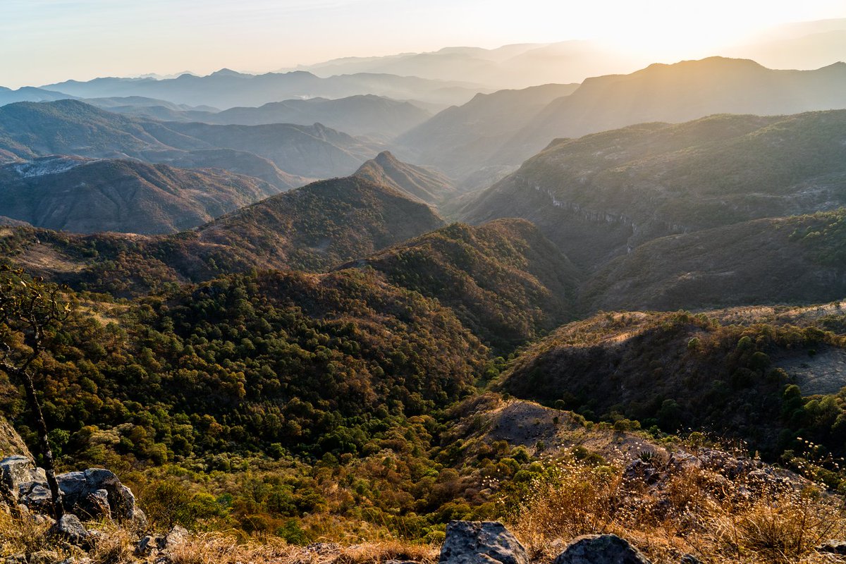 🇲🇽 La Ruta Wixárika hasta Wirikuta, recién inscrita en la Lista del #PatrimonioMundial, recorre 500 km y 20 sitios sagrados en 5 estados de México.

Un peregrinaje espiritual que une tierra, memoria e identidad de los pueblos Wixárika.

Descubre más whc.unesco.org/es/list/1704/