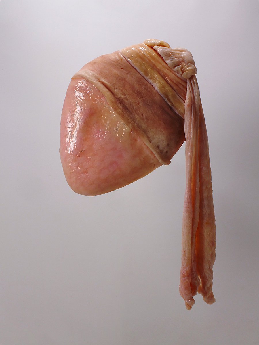 GIRL WITH A PEARL EARRING🦪( ͡°_ʖ ~)🥩

🥩physical meat sculpture🥩