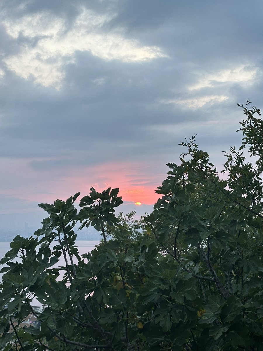 HAYSİYET kişinin yaşam ağı içinde başkalarının onu nerede gördüğü ile ilgili değil, kendisini yaşam ağının neresinde olduğunu gördüğüyle ilgilidir!

POST-VIRTUE (haysiyet sonrası) dönem de bu tanımı değiştiremeyecek.

#Penceremdenİstanbul