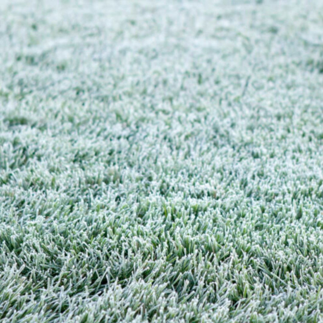 🍂 Autumn will soon be here, are your sports pitches ready? 🍂

As the days shorten and temperatures drop, turf across the UK faces frost, rainfall, and slow grass growth all posing a real threat to matchday readiness. At Stuart Canvas, we understand the stakes and the solution.