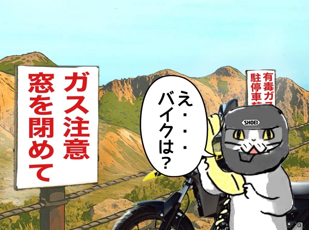 【ミーミン様】2点おまとめ ﾐｰﾝﾐﾝﾐﾝﾐﾝﾐﾝﾐｰﾝ (@iw97fpw61w8) / X