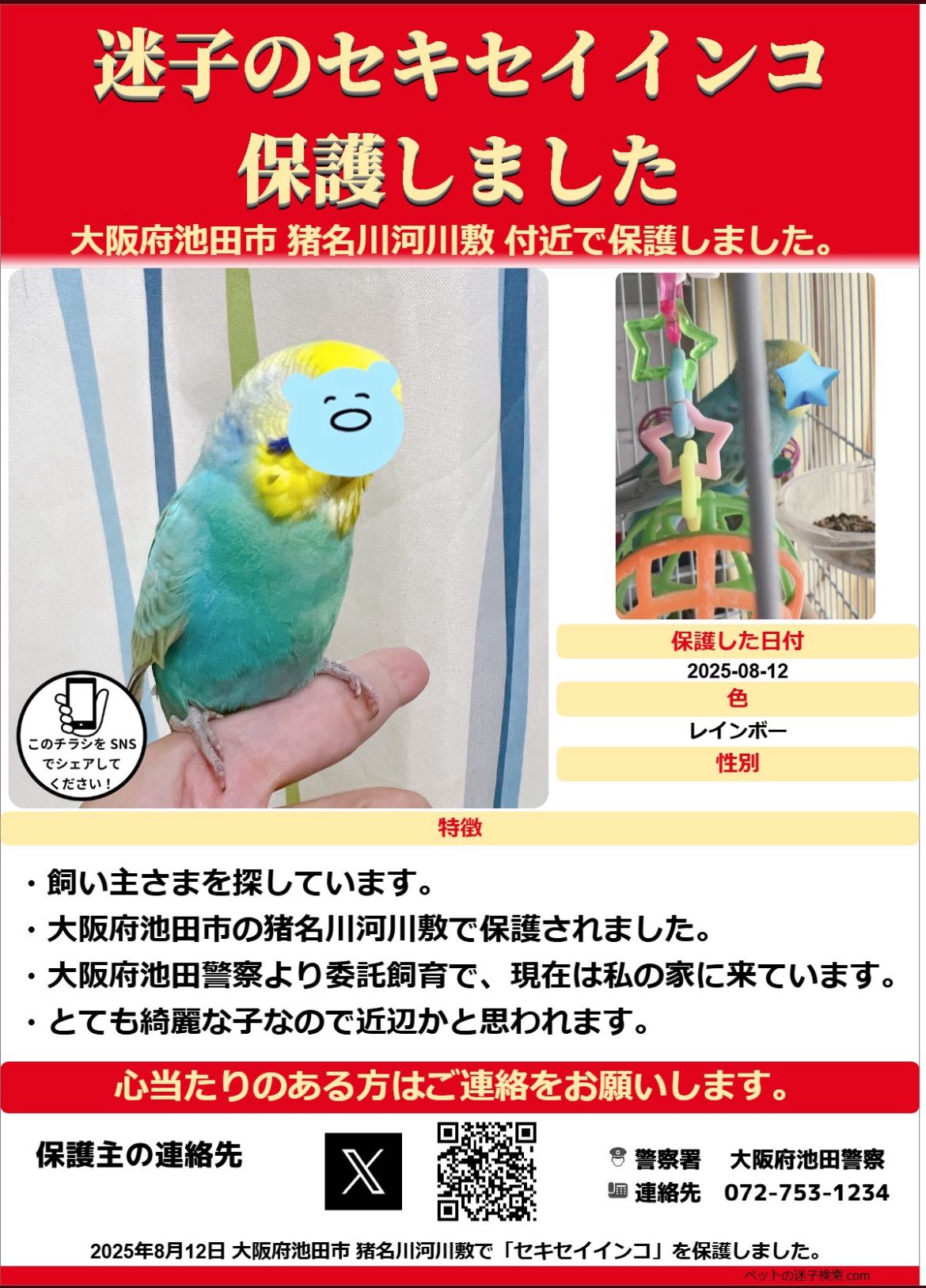 インコさん おとりさんズ セキセイインコ | こんぱまるオンライン