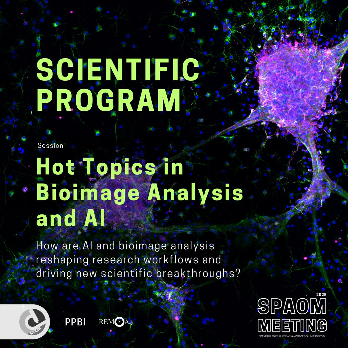 SPAOM5's tweet image. 🔥 NEW SESSION ALERT!
Hot Topics in Bioimage Analysis & AI is coming to #SPAOM 2025! 🤖🔬
Cutting-edge tools, deep learning, explainable AI & more — all in one session. 💥
Don’t miss this! 🚀
#AI #BioimageAnalysis #Microscopy #DeepLearning #ImagingScience #HotTopics