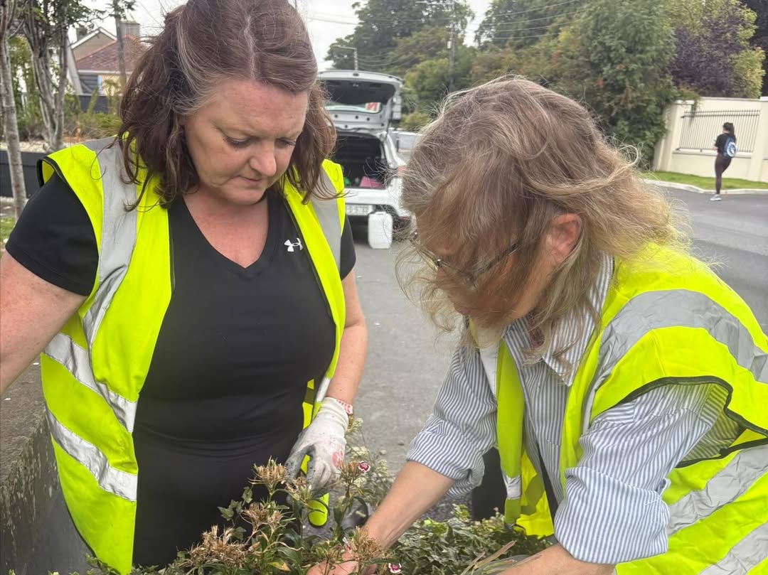 NationalSpringC's tweet photo. A successful Saturday clean-up from the crew at Clonsilla Tidy Towns ๐
They also worked on their planters and watered their flowers!
Super work guys, keep it up ๐
#SDGsIreland #NationalSpringClean #SpringClean25 https://t.co/j3epqpjMco