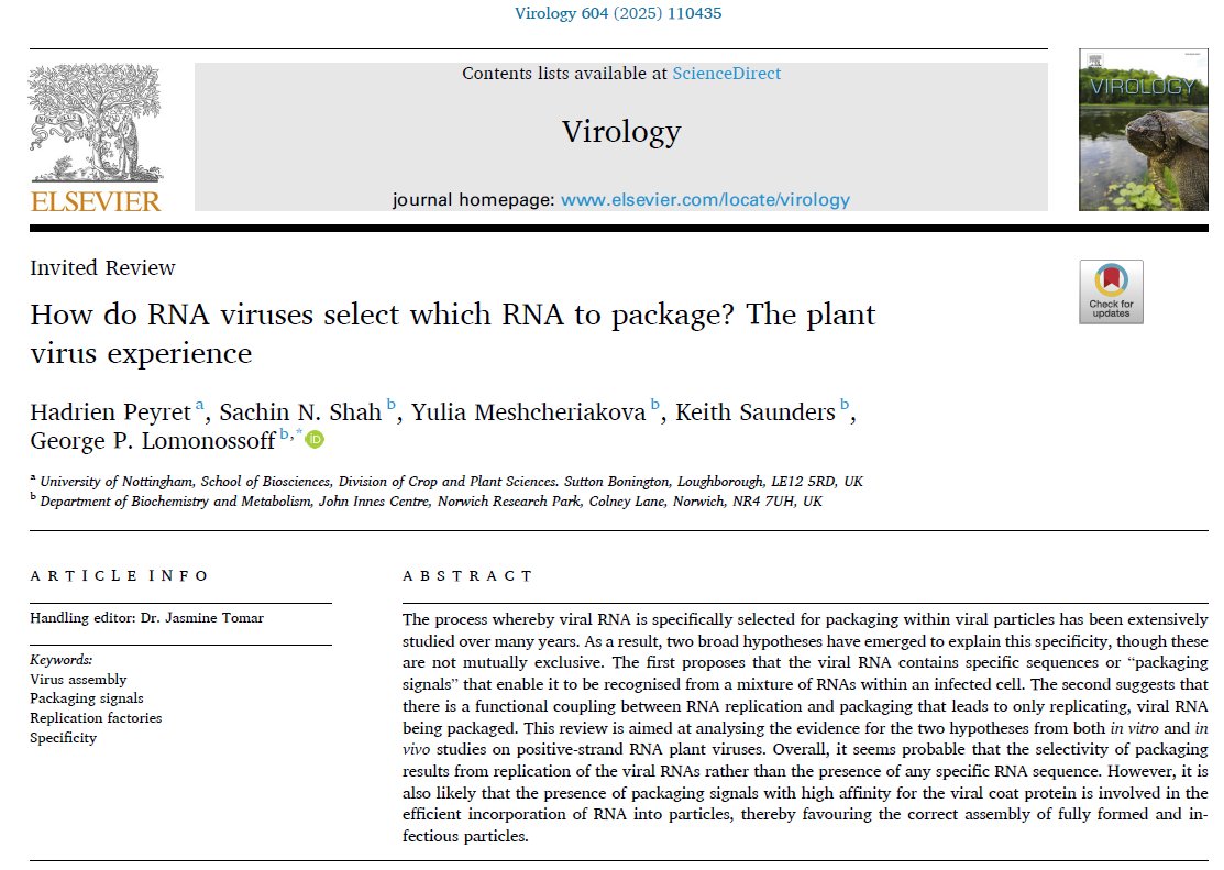Our recent (controversial?) review about RNA packaging in RNA viruses from a few months ago published in Virology: "How do RNA viruses select which RNA to package? The plant virus experience" with <a href="/Lomonossoff_Lab/">Lomonossoff Lab</a> : doi.org/10.1016/j.viro… <a href="/OneVirology/">One Virology</a> <a href="/JohnInnesCentre/">John Innes Centre</a>