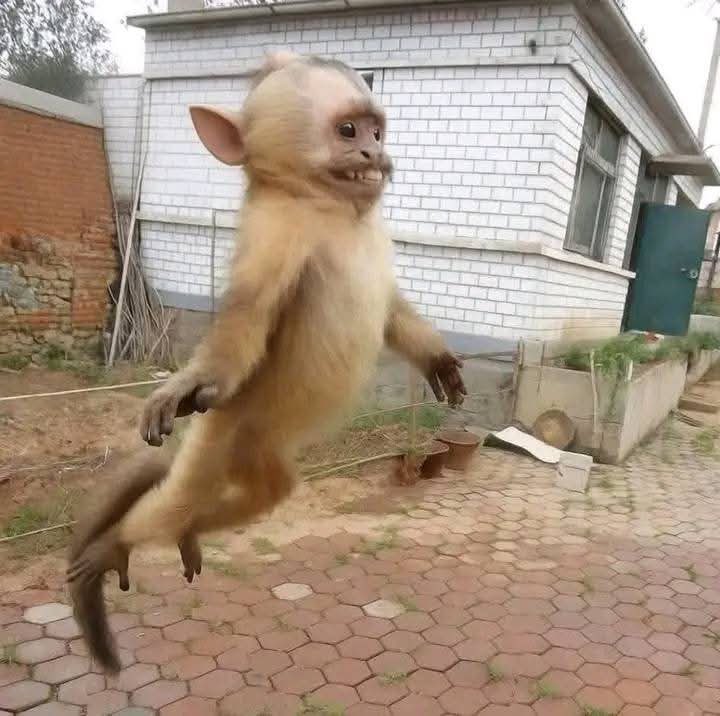 Kamga Kôtòpî Mignon🌀 tweet media