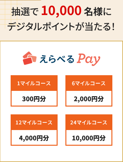 aika　❤️フォロー割50円引き❤️ あきぽん (@akipon229) / X