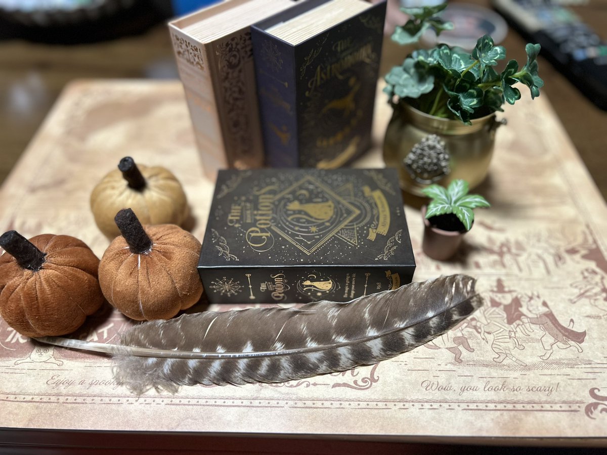 セリアで、なんか可愛い魔法猫の猫マット売ってて買ってしまった…弱いんですよ…こういうの…

太陽神猫ちゃん、魔女猫、ミイラ猫やらお化け猫の集いも可愛い…なんとも言えぬ味がある…🐈‍⬛🐈

ボカして背景としてもなんか良い感じの地図風になる