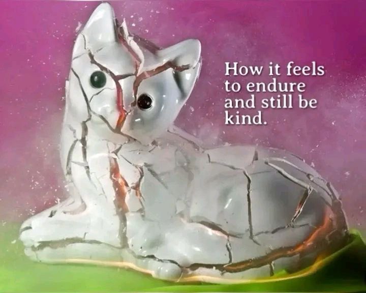 puppy ౨ৎ (@hwospitai) on Twitter photo 