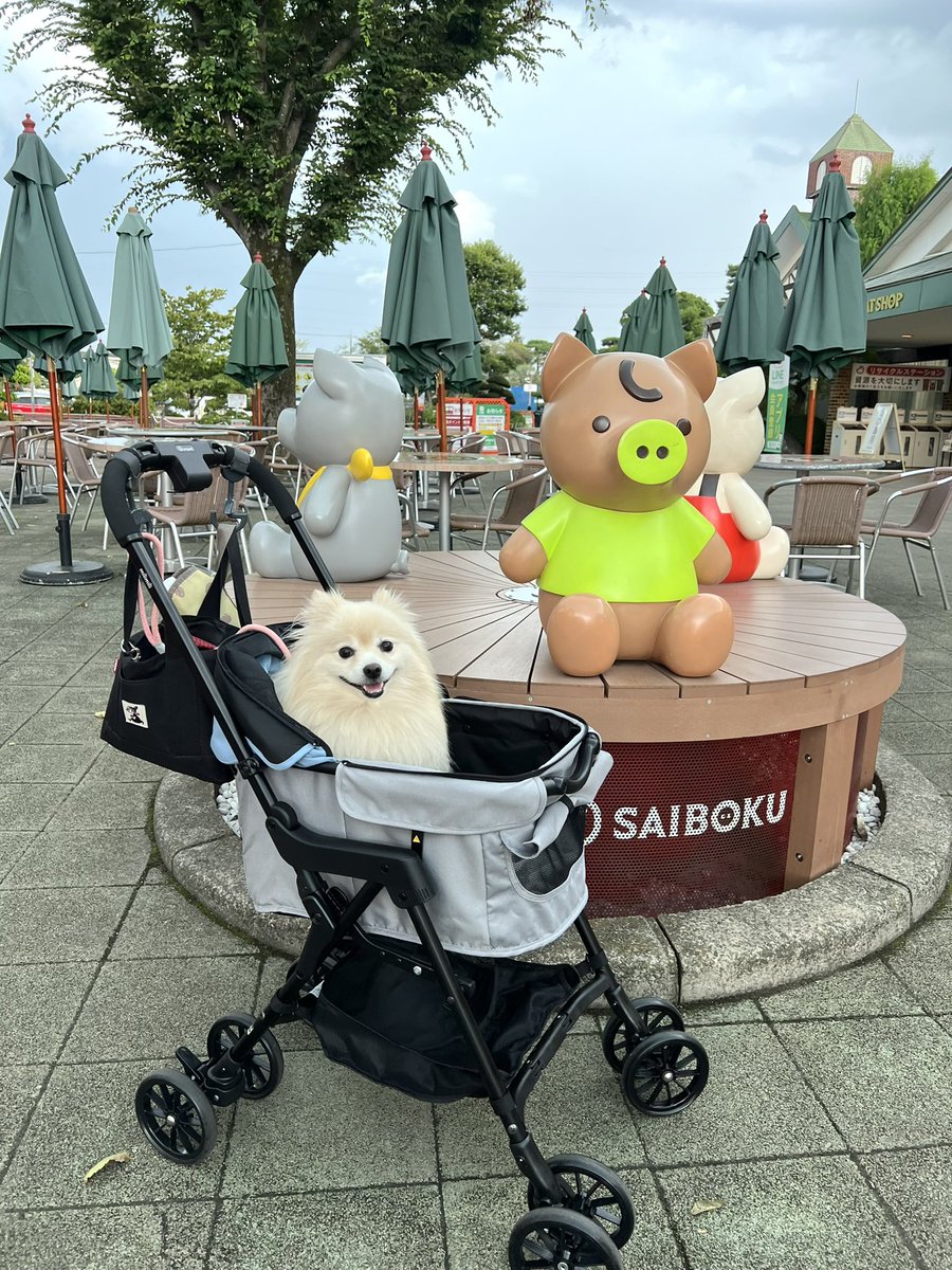 1978年『米』の漢字を分割→八・十・八…から 「お米の日