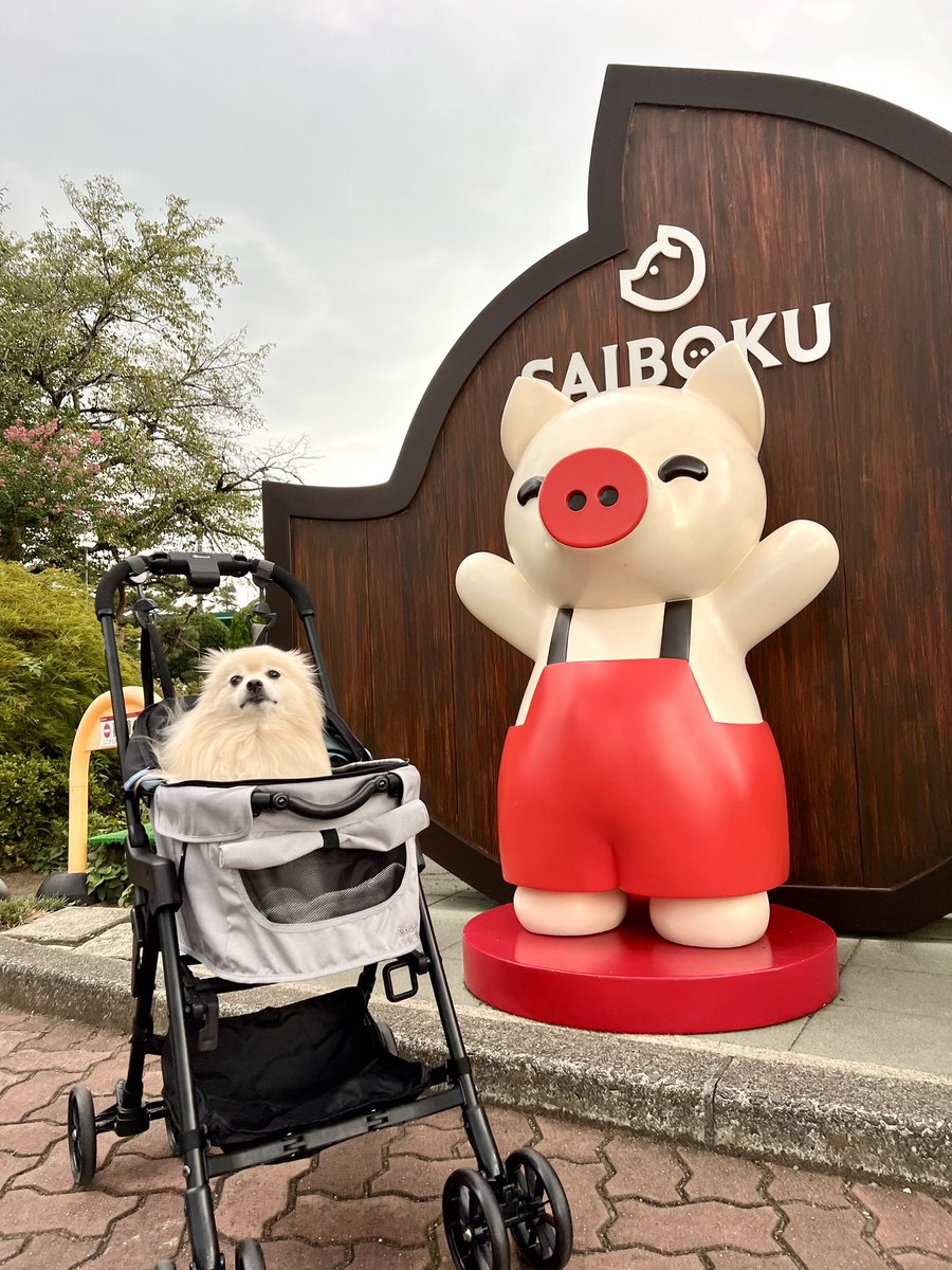 1978年『米』の漢字を分割→八・十・八…から 「お米の日