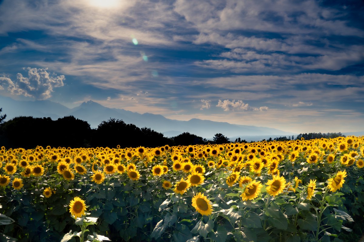 8日ぶりの写活♪
今日はずっと行きたかった場所にとても良いタイミングで行けました
お空も素敵だったので嬉しさ2倍😆