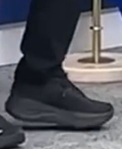 Alina Lipp tweet media