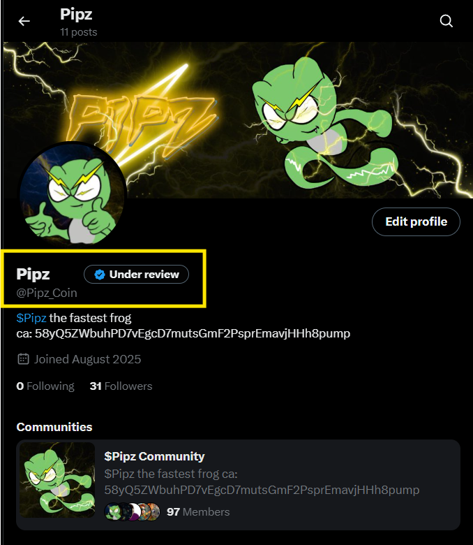 As you can see, $Pipz official X account is now being under review for blue check and website is now being created. Stay tuned!